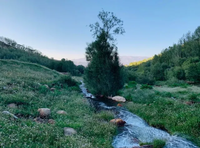 Stream and trees in a green Bamyan valley