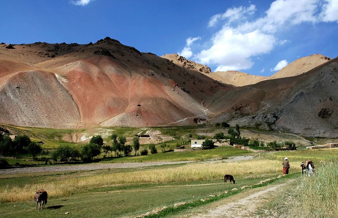 Green valley with grazing donkeys below red-streaked hills in the Ghor highlands