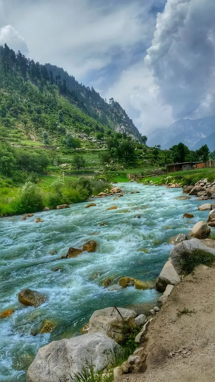 A fast, clear mountain river running over boulders below pine-covered slopes in Kunar