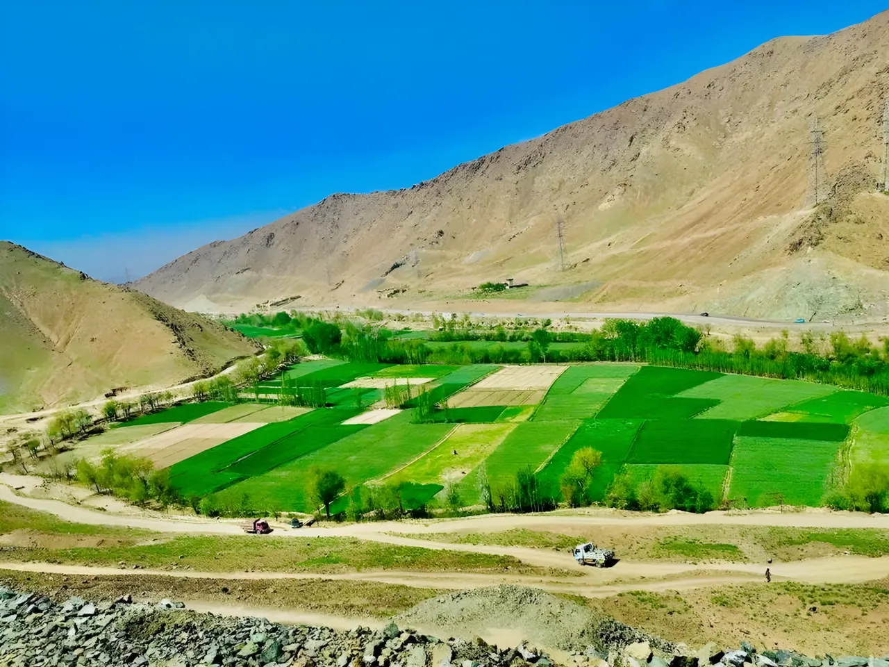 Bright green fields and lines of trees in the Logar River valley, below bare brown mountains