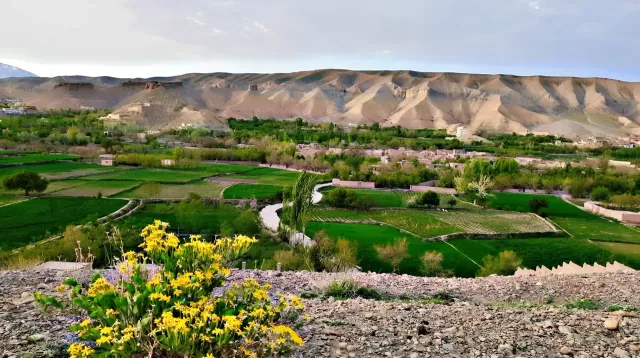 Yellow wildflowers above green fields and mud-brick villages in Logar, with eroded hills behind