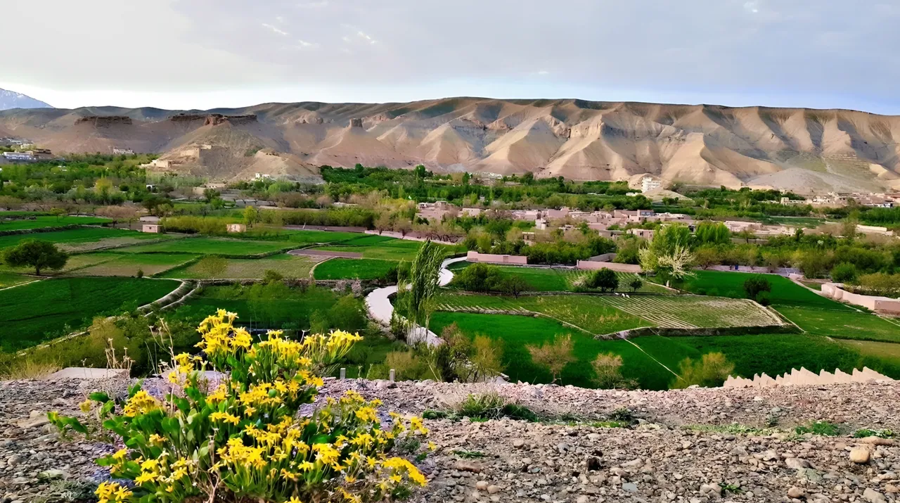 Mes Aynak