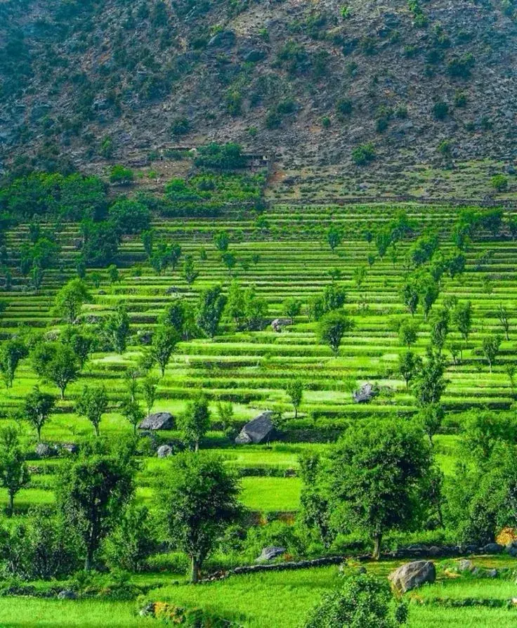 Nangarhar, Afghanistan — photo 5
