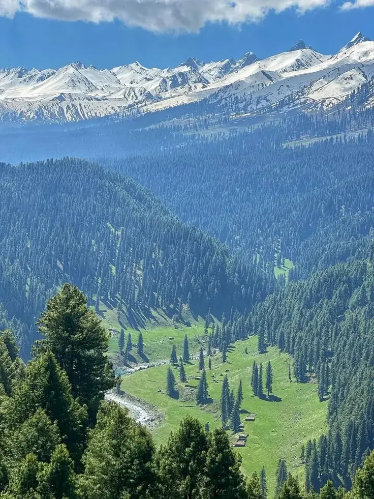 Nuristan forest landscape