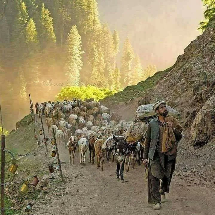 Nuristan, Afghanistan — photo 2