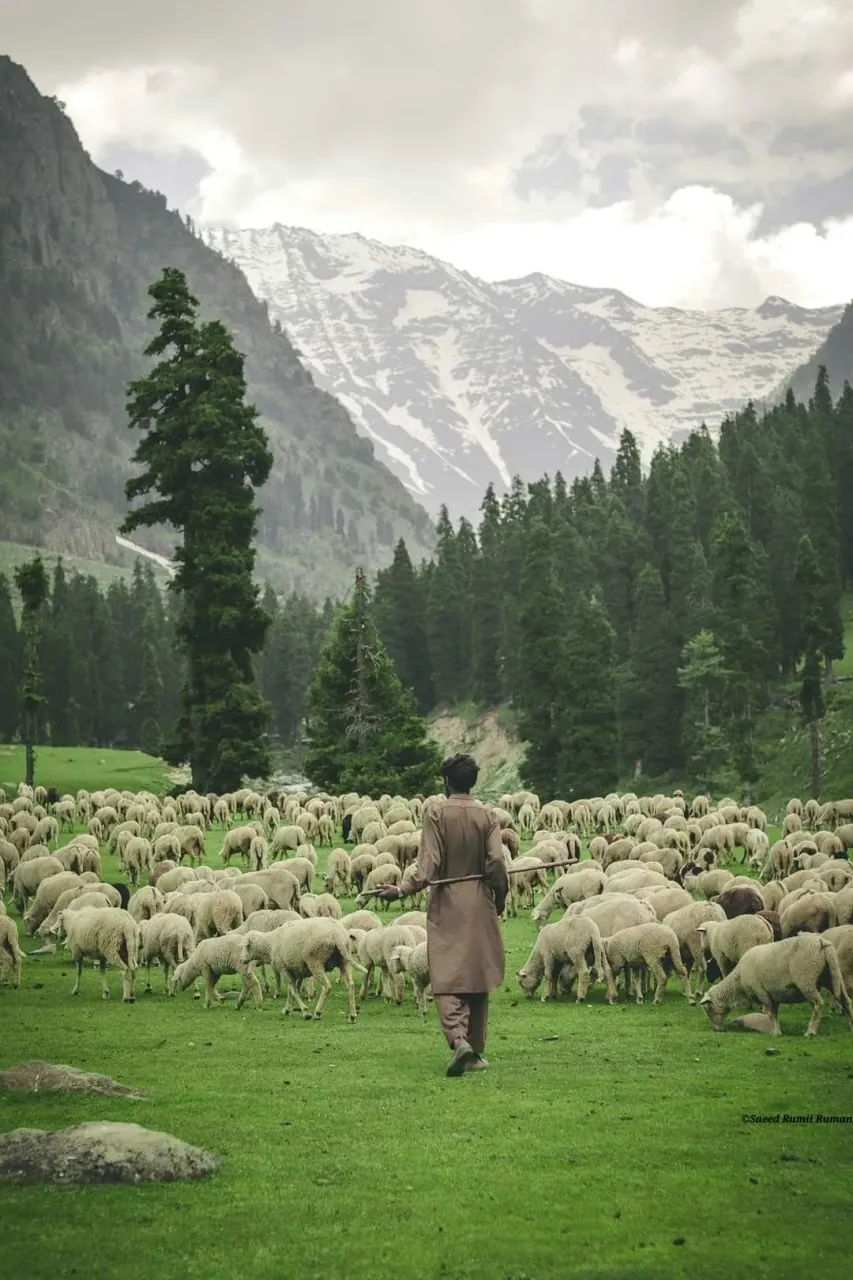 Nuristan, Afghanistan — photo 3